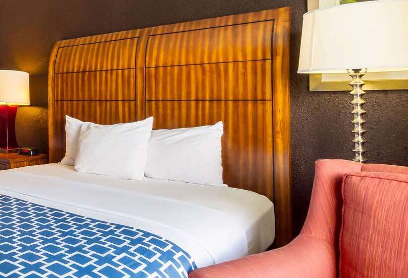 Отель The Block215