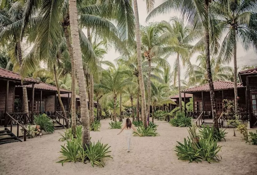 Petit Lafitte Beach Front Hotel & Bungalows