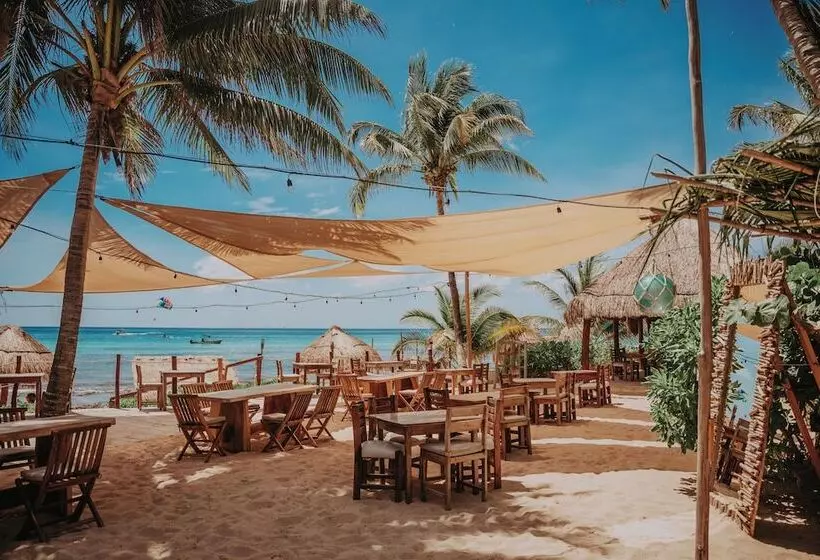 Petit Lafitte Beach Front Hotel & Bungalows