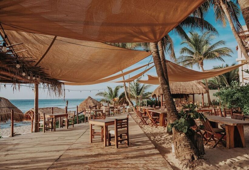 Petit Lafitte Beach Front Hotel & Bungalows