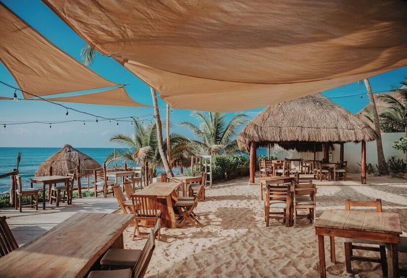 Petit Lafitte Beach Front Hotel & Bungalows