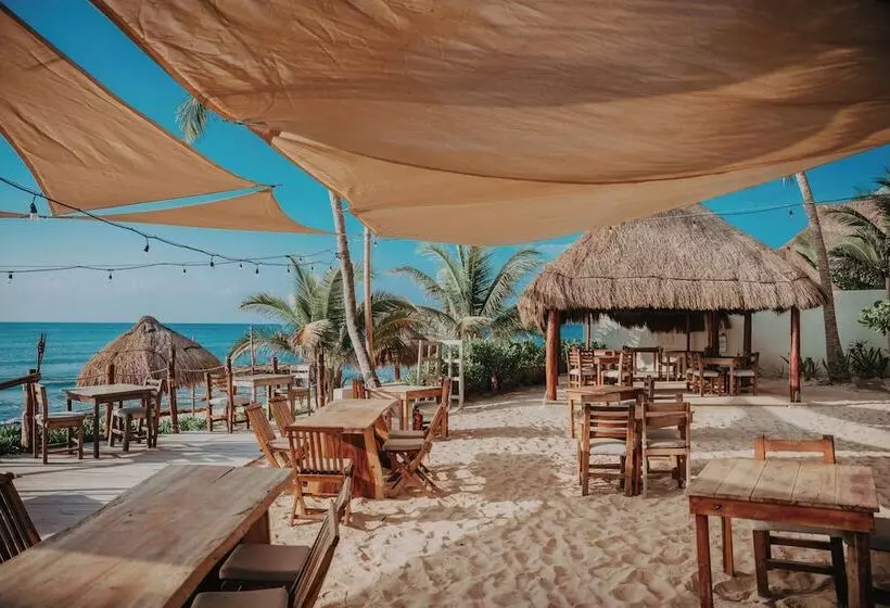 Petit Lafitte Beach Front Hotel & Bungalows