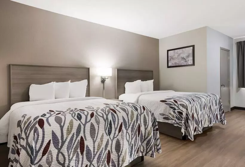 בית מלון כפרי Red Roof Inn Weedsport