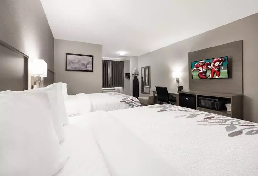 בית מלון כפרי Red Roof Inn Weedsport