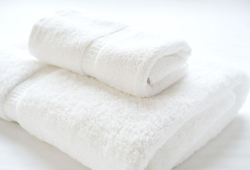 酒店 Villa Fontaine Tokyokayabacho