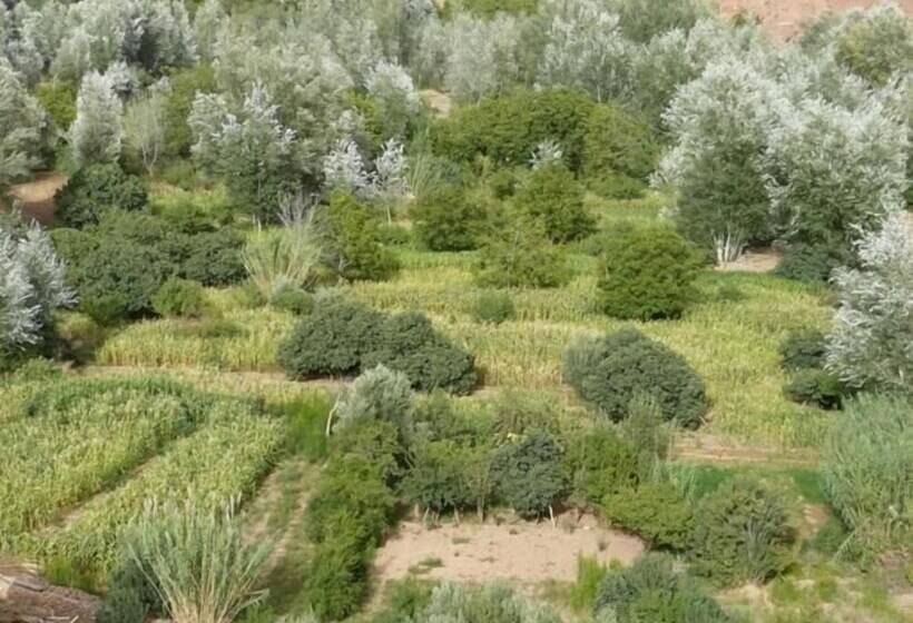 هاستل Kasbah Ait Arbi