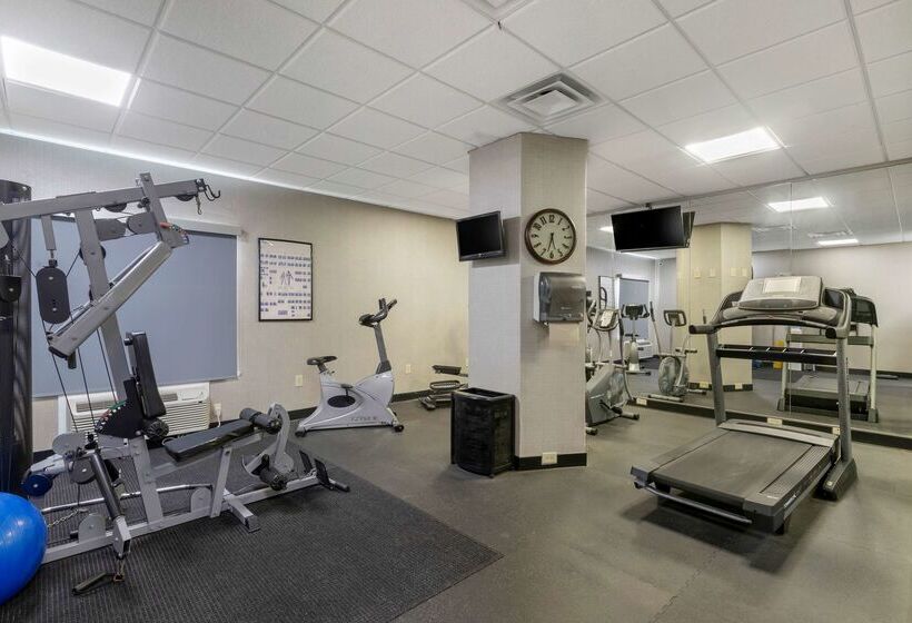 فندق Best Western Plus Brunswick Inn & Suites