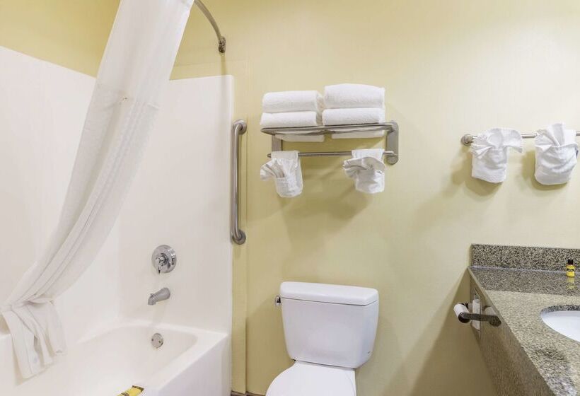 فندق Best Western Plus Brunswick Inn & Suites