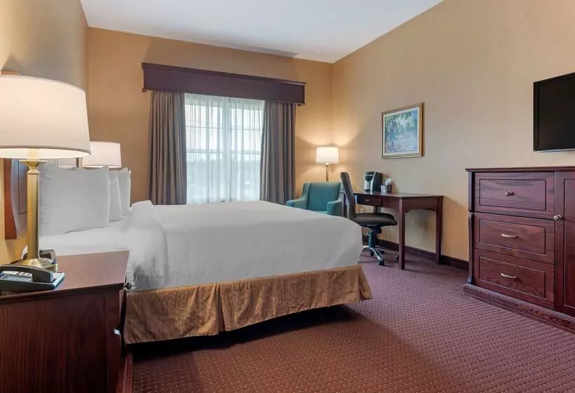 Best Western Plus Fredericton Hotel & Suites