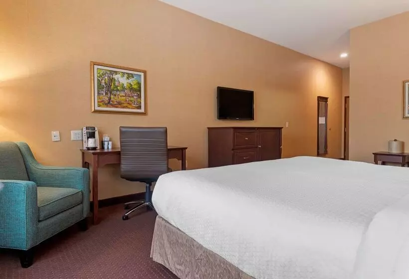 Best Western Plus Fredericton Hotel & Suites