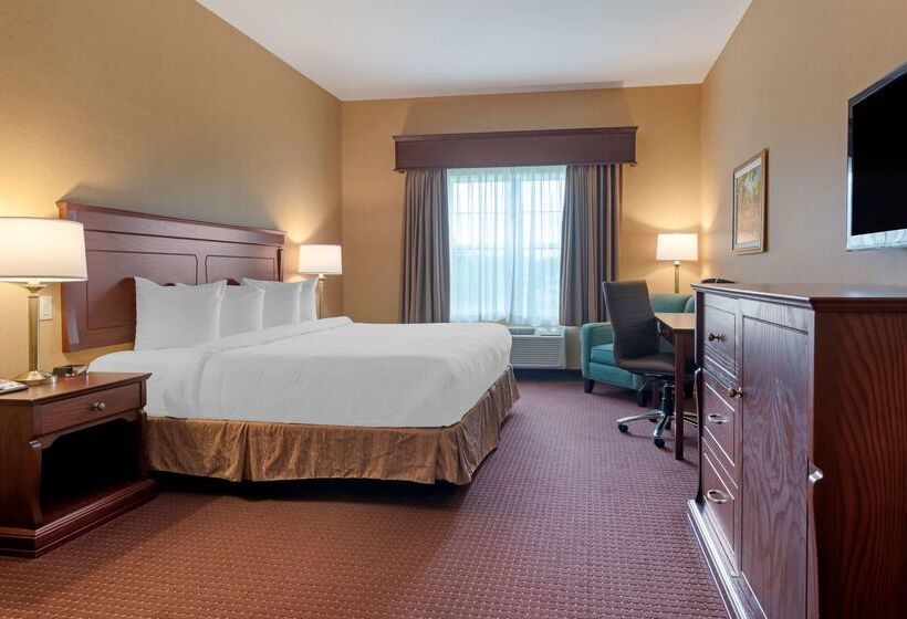 Best Western Plus Fredericton Hotel & Suites