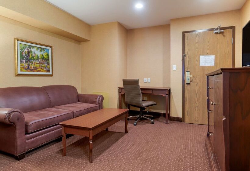 Best Western Plus Fredericton Hotel & Suites