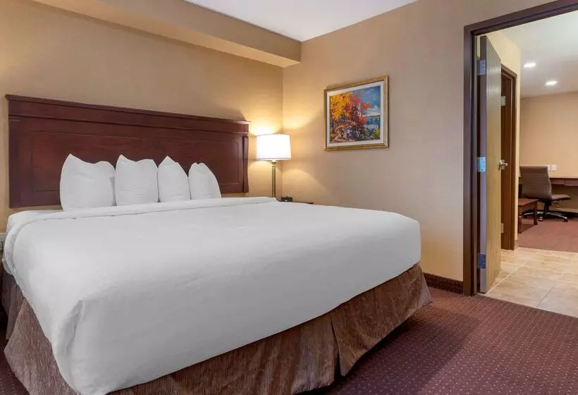 Best Western Plus Fredericton Hotel & Suites