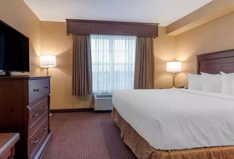 Best Western Plus Fredericton Hotel & Suites