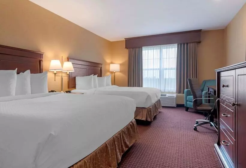 Best Western Plus Fredericton Hotel & Suites
