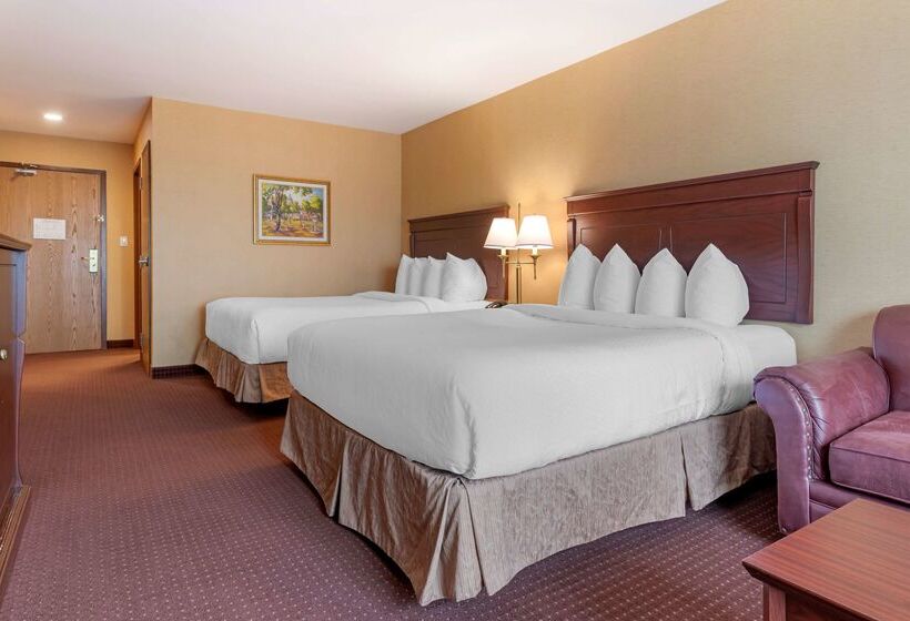 Best Western Plus Fredericton Hotel & Suites
