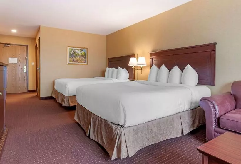 Best Western Plus Fredericton Hotel & Suites
