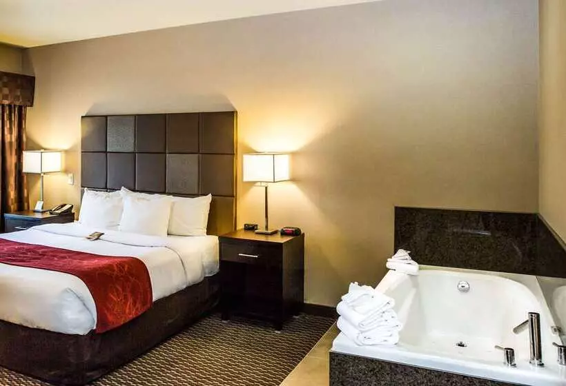 酒店 Comfort Suites Kelowna