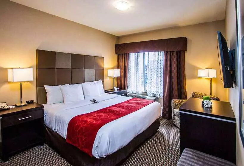 酒店 Comfort Suites Kelowna