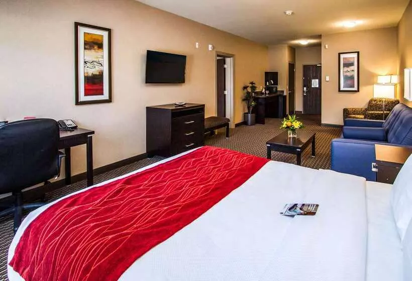 酒店 Comfort Suites Kelowna