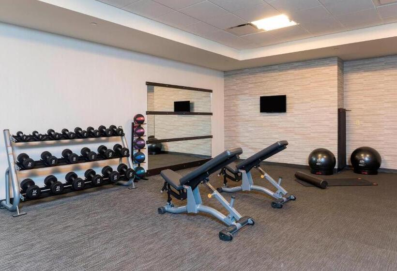 בית מלון כפרי Courtyard Louisville Downtown