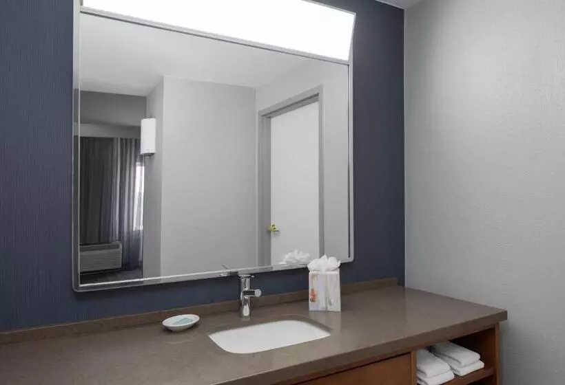 호텔 Courtyard Tampa Oldsmar