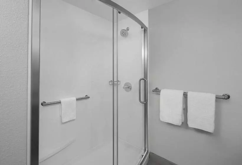 호텔 Courtyard Tampa Oldsmar