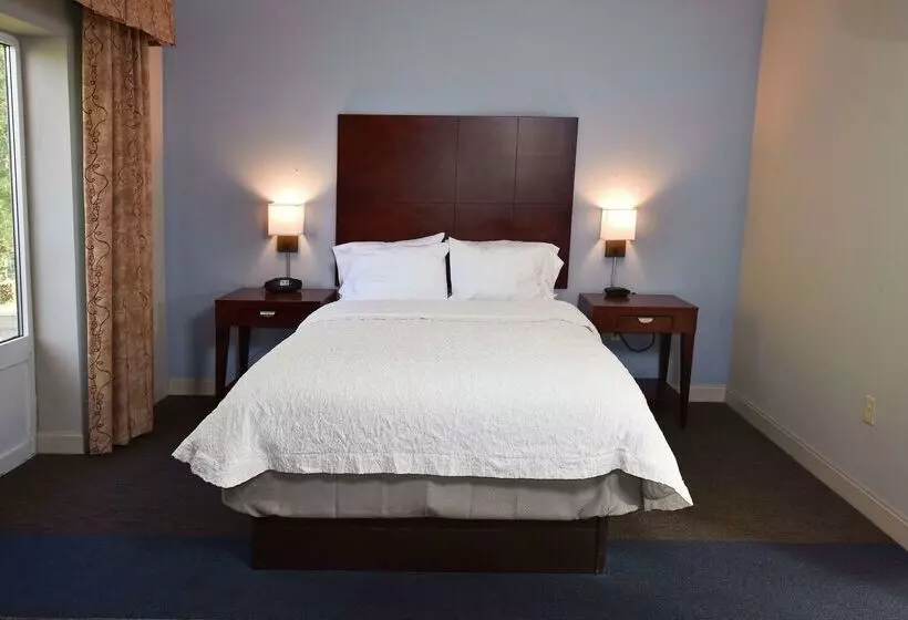 酒店 Hampton Inn Alexander City
