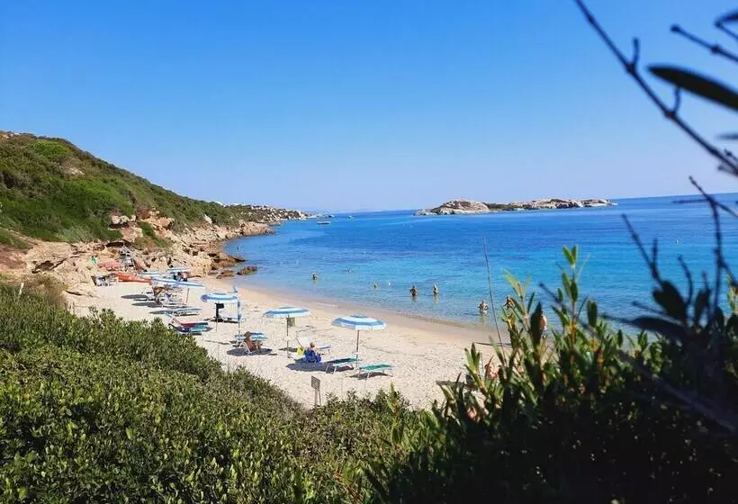 Porto Quadro Vista Corsica
