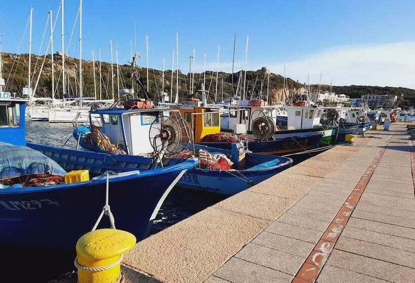 Porto Quadro Vista Corsica