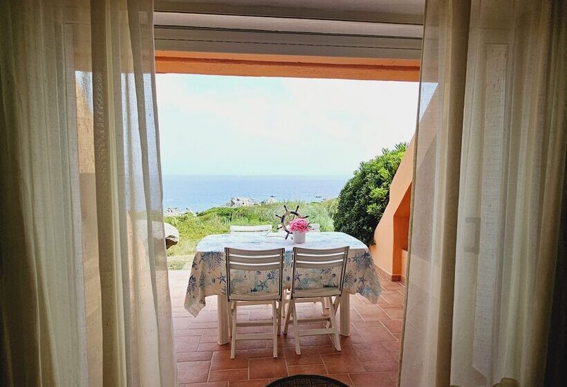 Porto Quadro Vista Corsica