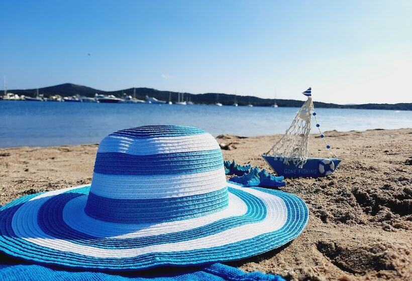Porto Quadro Vista Corsica