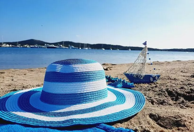 Porto Quadro Vista Corsica