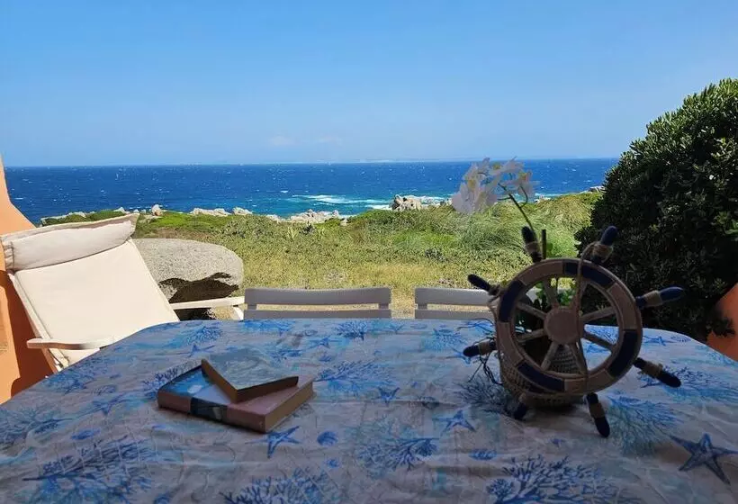 Porto Quadro Vista Corsica