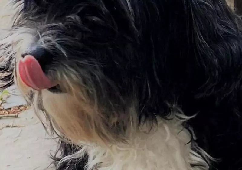 Schronisko Embassie Backpackers