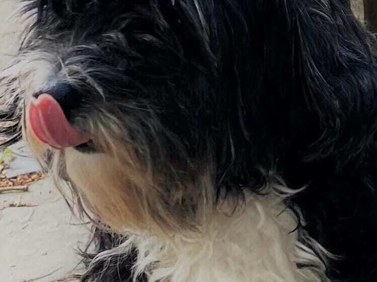 فندق صغير Embassie Backpackers