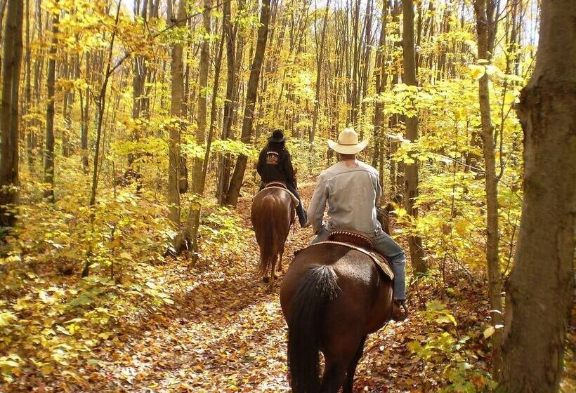 تختخواب و صبحانه Residenza Di Rocca Romana Holiday Home