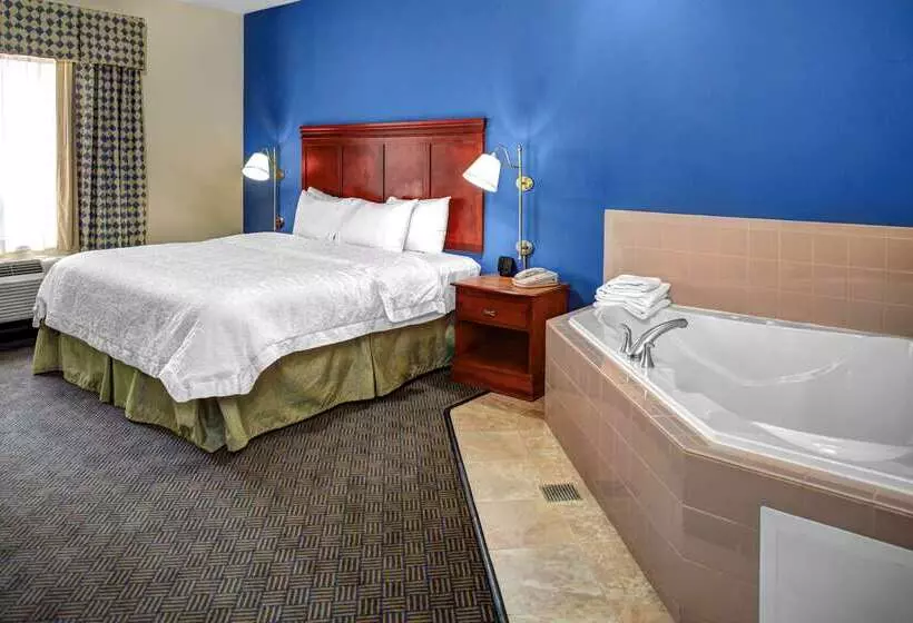 Отель Hampton Inn Coldwater