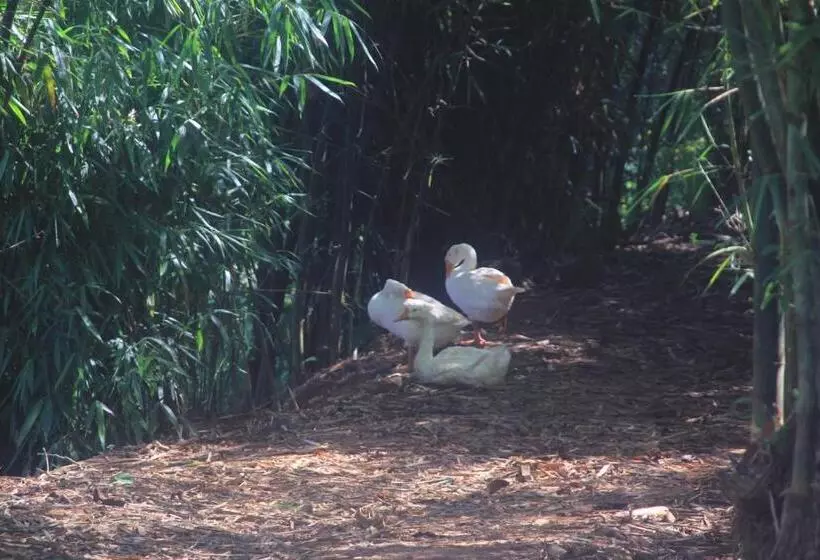 Wayanad Village Resort