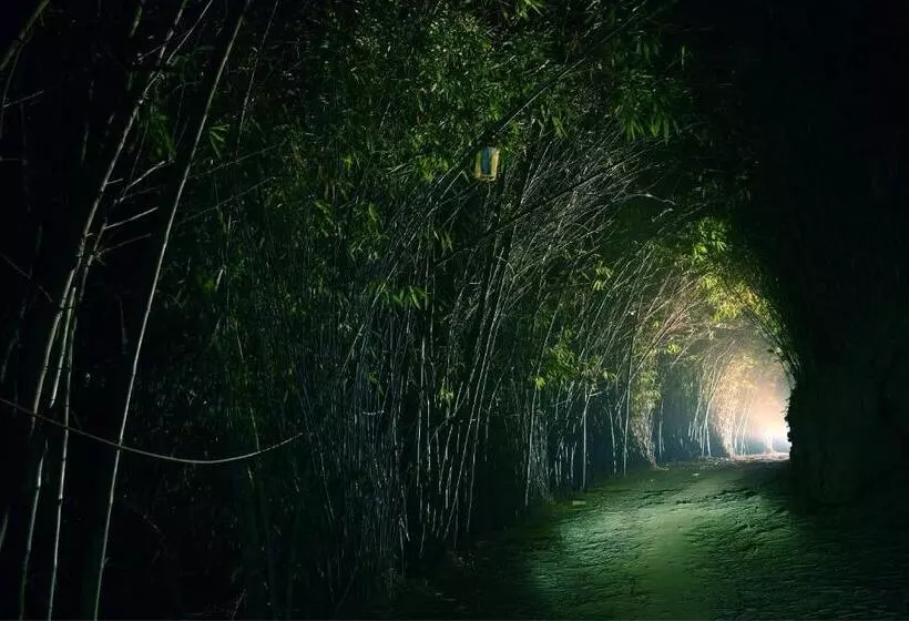 Wayanad Village Resort