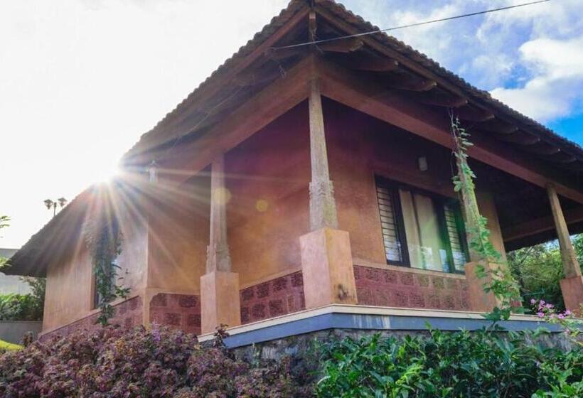 Wayanad Village Resort