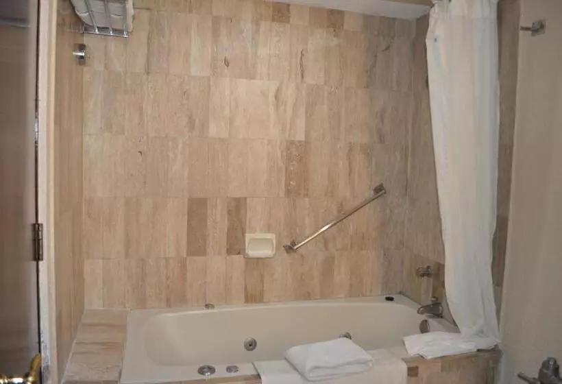 ホテル Arroyo de la Plata