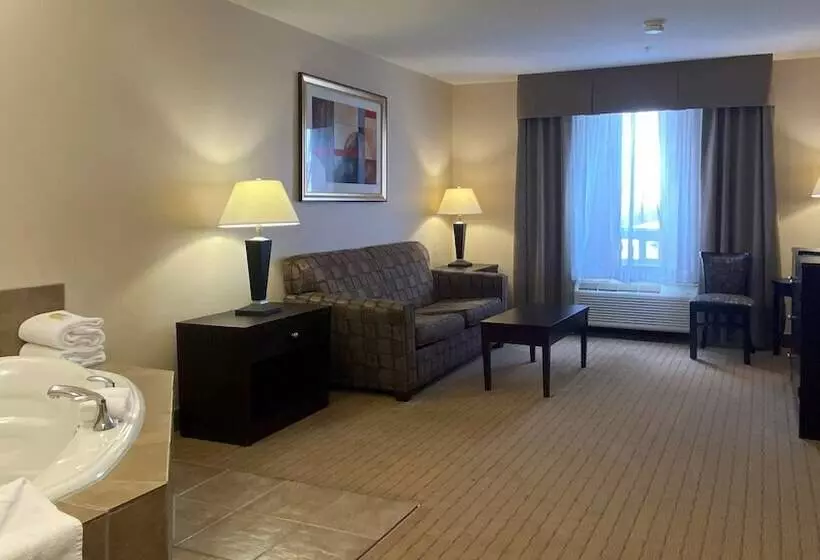 Holiday Inn Express Hotel & Suites Swift Current, An Ihg