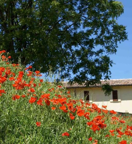 교외 호텔 La Perticara Agriturismo