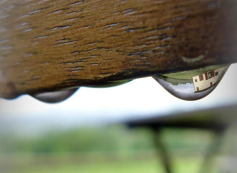 교외 호텔 La Perticara Agriturismo