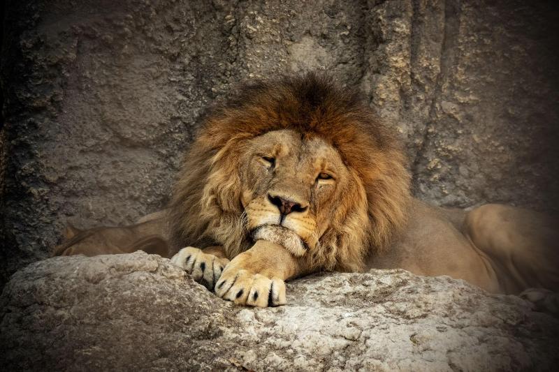 هتل Towneplace Suites Sacramento Cal Expo