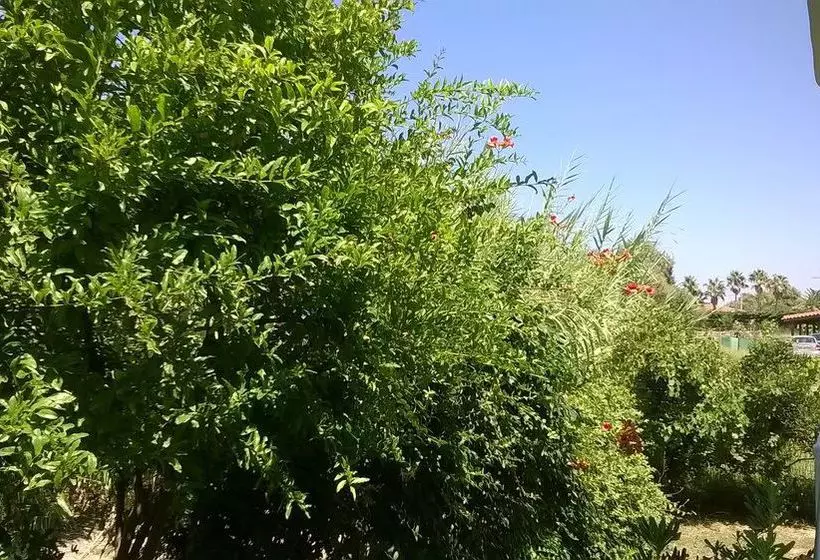 Minos Mare Beach Resort & Spa