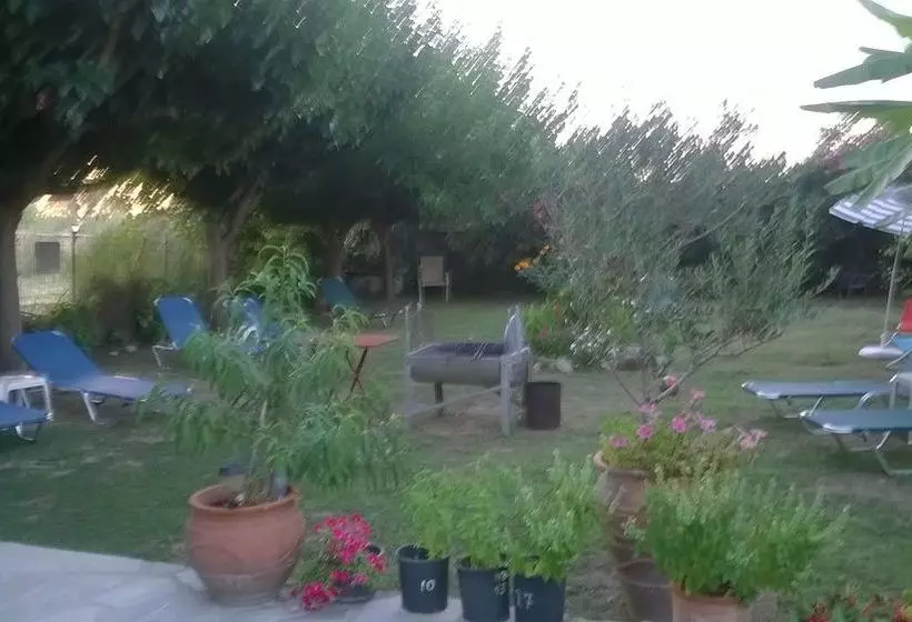 Minos Mare Beach Resort & Spa