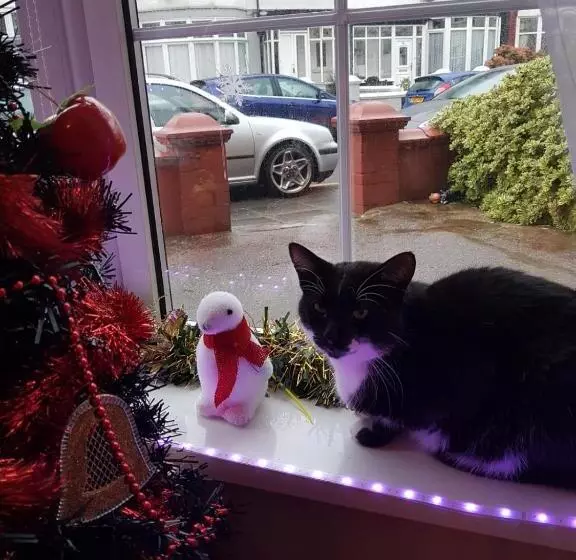 민박 A&p At The Sheron House