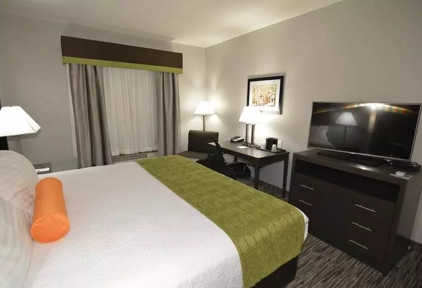 Best Western Plus Liberal Hotel & Suites